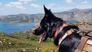 Hiking with my German Shepherd - Historic Flume Trail San Diego
