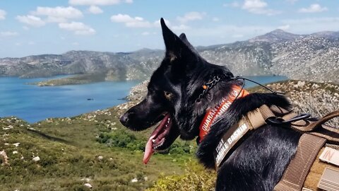 Hiking with my German Shepherd - Historic Flume Trail San Diego