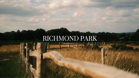 Richmond Park - London 2023 - FujiFilm Xpro 3