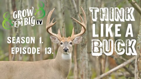 Think Like a Buck | Grow 'em Big TV