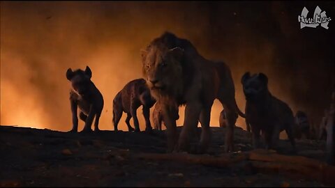 Scar Army confronts Lions , The Lion King