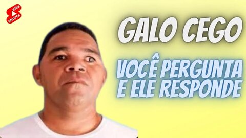 GALO CEGO | VOCÊ PERGUNTA E ELE RESPONDE