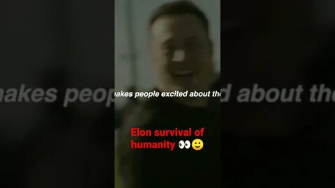 Elon adventure.