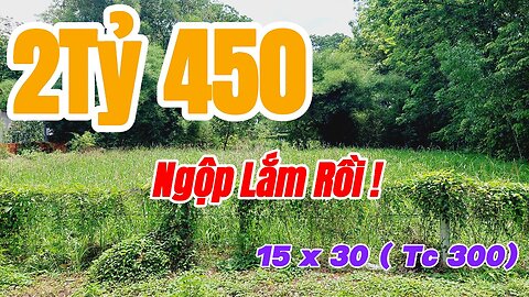 Đất Dầu Tiếng |bán nhanh lô đất ngộp 15 x 30 Tc ( 300) giá rẽ#559