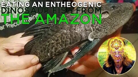 Eating An Entheogenic Dinosaur Fish from the Amazon Rainforest, the Carachama