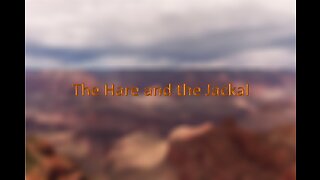 The Hare and the Jackals