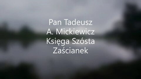 Pan Tadeusz - A.Mickiewicz Księga szósta Zaścianek audiobook
