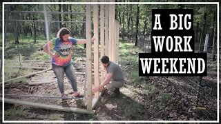 Goat Barn Build//Working The Garden//Grow Food Not Grass Summit