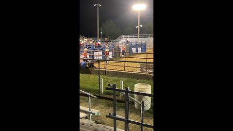 Bull Riding at Rodeo