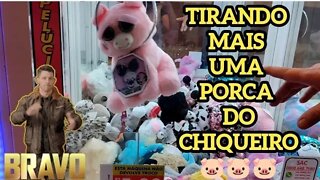 TIRANDO MAIS UM FEISTY PETS PORCA ROSA DO CHIQUEIRO 🐷🐷🐷