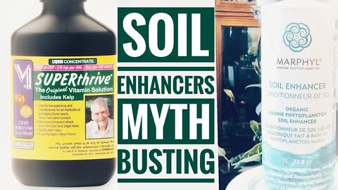 SUPERTHRIVE & MARPHYL SOIL ENHANCERS. ARE THEY WORTH THE MONEY? MYTH BUSTING PLANT PRODUCTS.