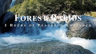 Tranquil Forest Rapids | Soothing Nature Sounds with Birds Chirping