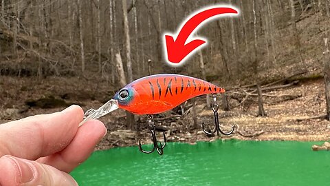 This Bait Caught Bass EVERY Cast!