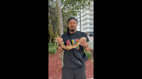 #florida #floridalife #snake #miami #fortlauderdale