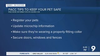 PACC offers tips to prepare your pets for 4th of July