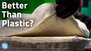 Is Mycelium Fungus the Plastic of the Future?