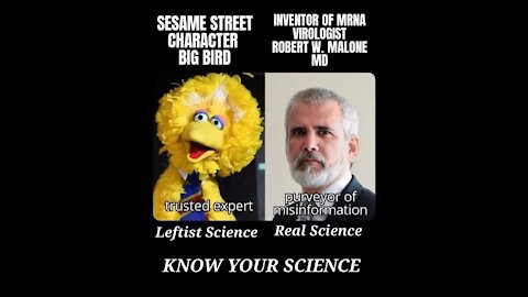 Big Bird vs Joe Rogan + Joe Biden vs Kyle Rittenhouse response