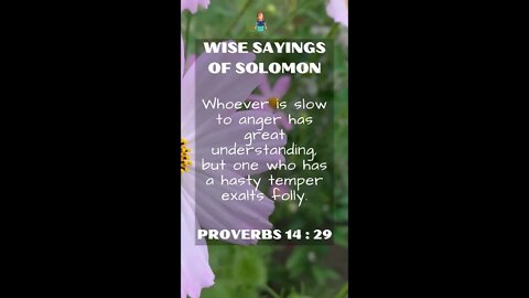 Proverbs 14:29 | NRSV Bible | Wise Sayings of Solomon