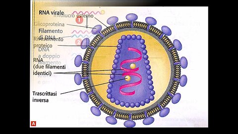 Virus e batteri,cosa sono e come sono fatti DOCUMENTARIO La virologia sintetica è una branca della virologia facente parte della biologia sintetica per creare in laboratorio virus artificiali sintetici.fanno esperimenti in biolaboratori
