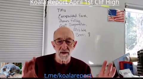 Koala Report 1st April Clif High DOJO-Secrets-Revealed