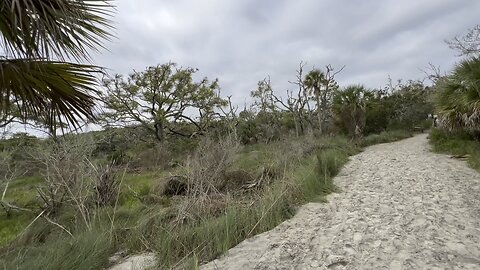 Driftwood Beach, Jekyll Island, GA