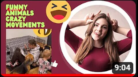 Fùnny animals, Funny animals Hub, 😄😆🤣😀, crazy funny animals 😄😆🤣, funny videos, 😄funny movements