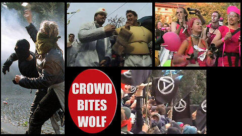 Crowd Bites Wolf 2001