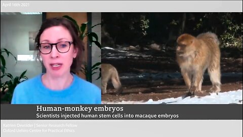 Human-Animal Chimeras | CRISPR + Gene-Editing | "We May Create Human / Animal Chimeras With Perhaps Human Neurons In Their Brains, What Looks Like An Animal May Well Have Mental Capacities Similar to That of A Human Being." - Katrien Devolder