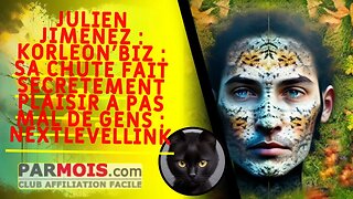 Julien Jimenez : Korleon'Biz : sa chute fait secrètement plaisir à pas mal de gens : NextLevelLink