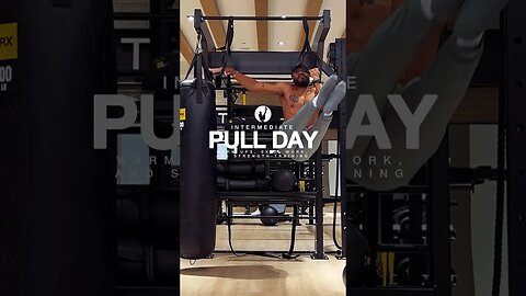 Perfect Calisthenics Pull Day Workout 💯 #calisthenics #pullday