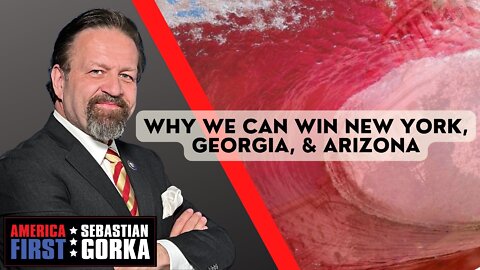Why we can Win New York, Georgia, and Arizona. Robert Cahaly with Dr. Gorka on AMERICA First