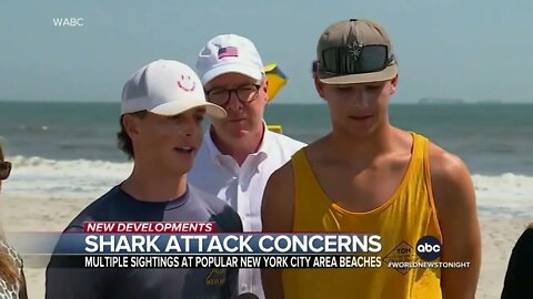 Teen surfer bitten, dead shark found on shore in latest New York sightings ABC News