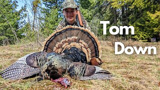 Big Mid-Day Tom Down! Chasing Idaho Gobblers 2023!