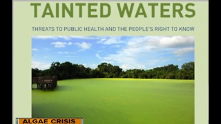 ACLU: State put public health at risk during 2016 algae crisis