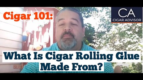 What is cigar rolling glue made from? - Cigar 101