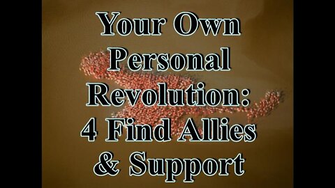 Your Own Personal Revolution Pt 4: Find Allies and Support