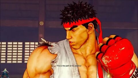 Street Fighter V:Champion Edition Play As Shadow On Pc