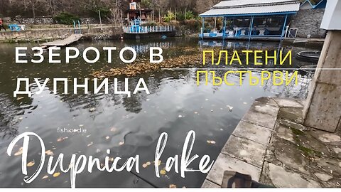 Езерото на Дупница пъстърви - Dupnica lake