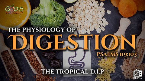 The Physiology of Digestion | The Tropical D.I.P | Dr. Thomas Jackson