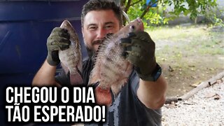 Caldo de peixe de Tilápia! - Cozinha Rústica