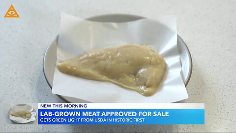 Lab-grown chicken approved for sale in the US.