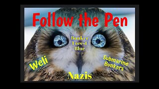 Follow The Pen: Owl's Eye, DJT & COVID-19