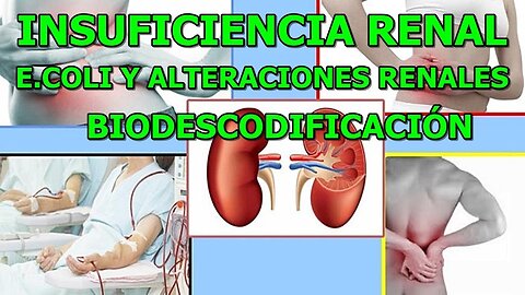 INSUFICIENCIA RENAL INFECCION POR E COLI Y ALTERACIONES RENALES BIODESCODIFICACION