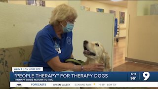 Therapy dogs get warm welcome back at Tucson Medical Center