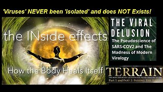 The INside Effects! How the Body Heals Itself (Live Screening) [09.07.2023]