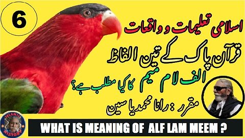 What is meaning of these three words Alf Lam Meem of Quran?