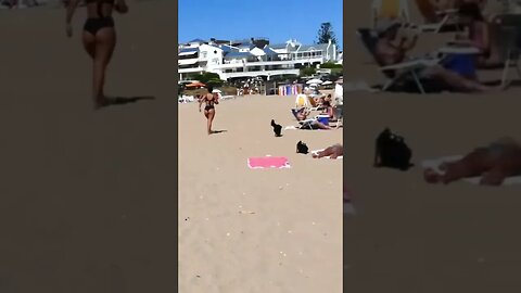 This is very common at this beach.