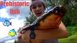 Catching a living DINOSAUR (100million year old fish)