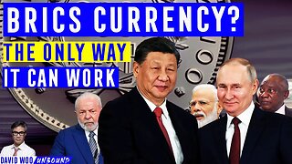 BRICS currency? The ONLY way it can work | David Woo
