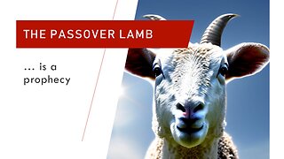 The Passover Lamb is a Prophecy